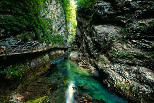 The Vintgar Gorge (Soteska Vintgar)