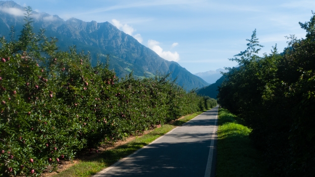 Via Claudia Augusta - in apple country