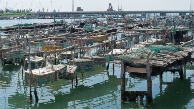 Chioggia - fishing nets