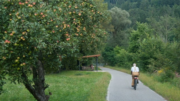 Cycleway in the Südtirol near Brixen (Bressanone)