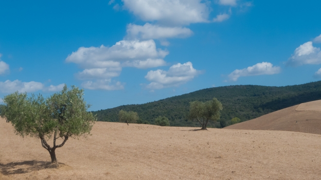 Gran Tour della Maremma near Magliano in Toscana