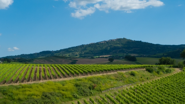 The Val d'Orcia near Montalcino