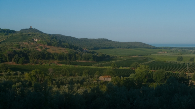 The Maremma near Castagneto Carducci
