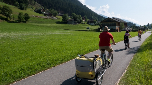 Cyclist on the Drauradweg (ciclabile della Drava) cycleway with a dog in a child-trailer