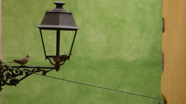 Bosa: bird building a nest inside a streetlamp