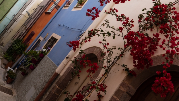 Houses in the centro storico of Bosa