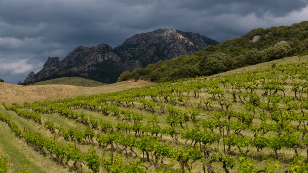 Sartène wine country 