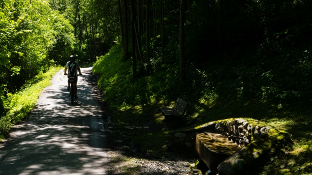 Cyclist on the Innradweg/Via Claudia near Landeck
