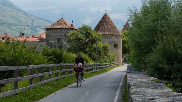Glurns cyclist and dog