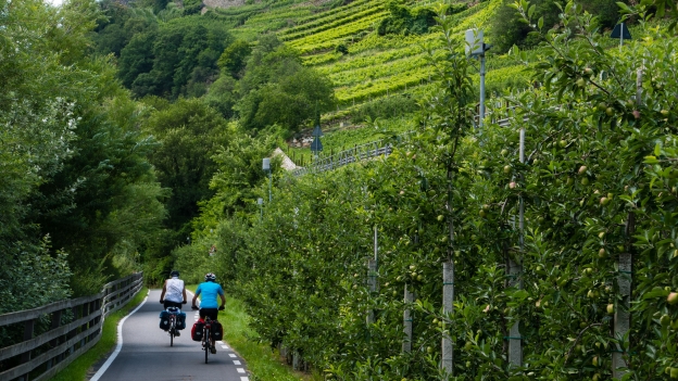 Cyclists near Kastelbell-Tschars 