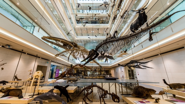 Interior of the MUSE (Museo delle Scienze) in Trento
