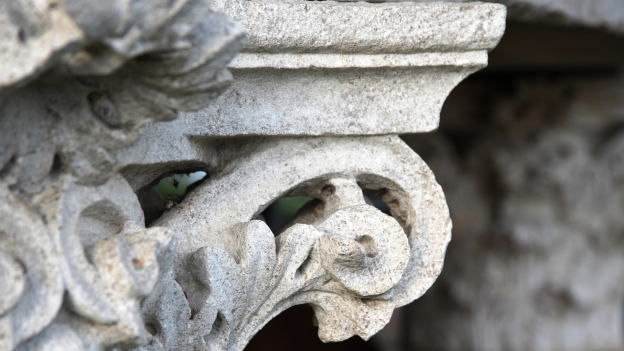 Detail of a the capital of a roman column found in the Altino archeological site